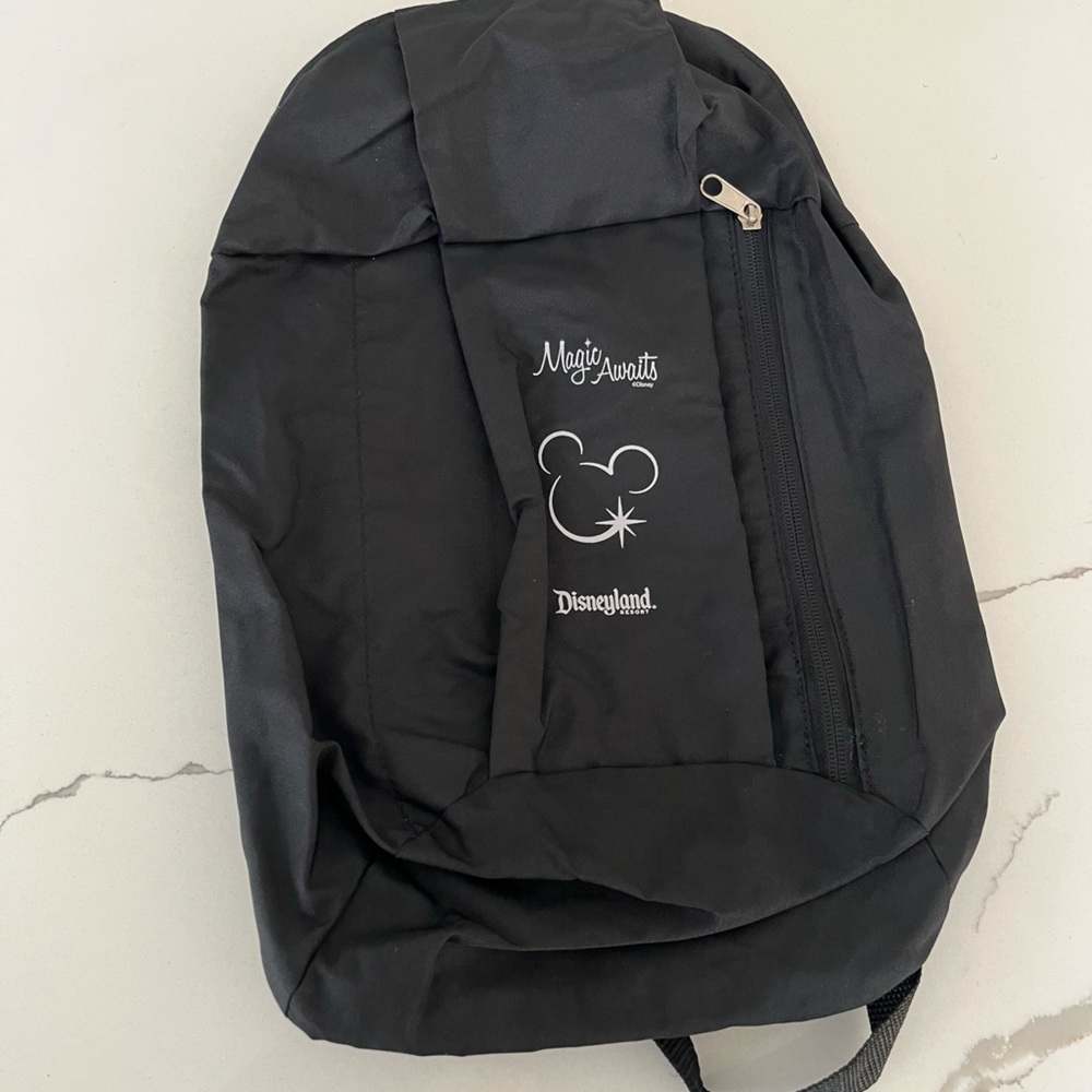 Disneyland Day pack